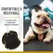 OneTigris Ranger Green X-Small Dog Pack Backpack for Camping, Hiking, and Walking with Litter Bag Exit - Buy Online on SooperMarket.com