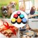 6 Pack Multicolored Language Recording Buttons - 30-Second Describable Pet Training & Creative Learning Gifts for Kids & Office Fun - Buy Online on SooperMarket.com