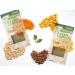 Simply Nature Yellow Lentil Lasagna Sheets Bundle Set - Vegan Organic Plant-Based Pasta, Non GMO Gluten Free, with Reusable Tote - Buy Online on SooperMarket.com