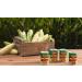 Del Monte Vegetable & Bean Blends Classic Style 14.5oz Can - Pack of 12 - Buy Online on SooperMarket.com