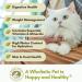 Wholistic Pet Organics Feline Complete - Organic Cat Multivitamins Powder for Immune Support & Antioxidants | Pumpkin Flavor - 4 oz - Buy Online on SooperMarket.com