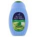 Farce Azzurra Docciagel Mint and Lime - 6 packs of 250 ml - total: 1500 ml