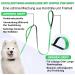 Demigreat Long Dog Leash | 1.5m/3m/5m Training Line with Padded Handle for Small to Large Dogs - Robust & Comfortable - Buy Online on SooperMarket.com