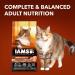 Iams Advanced Health Immune Health Adult Dry Cat Food Salmon & Chicken Recipe 1.59kg Bag - Buy Online on SooperMarket.com