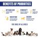 Premium Dog Probiotics 5BIL CFUs | 12 Strains Good Bacteria for Gut & Skin Health | Immune Support & Itch Relief | Salmon Flavored Chews for All Breeds & Ages - Buy Online on SooperMarket.com
