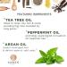 Luseta Tea Tree & Mint Conditioner 33.8 Oz - Refreshing Anti-Dandruff Scalp Care Infused with Peppermint Oil Paraben & Sulfate Free - Buy Online on SooperMarket.com