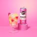 Remedy Kombucha Raspberry Lemonade 12x250ml - Sparkling Live Cultured Drink - Buy Online on SooperMarket.com
