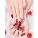 Kalolary 20PCS Nail Gel Polish Strips Full Wraps Nail Polish Stickers Cured Gel Nail Strips Self-Adhesive Gel Nail Wrap Stickers Decals with Nail File and Stick(UV/LED Lamp Required) (NJTZ-NG200266) - Buy Online on SooperMarket.com
