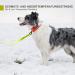 Toozey Drag Line for Dogs - 3m/5m/7m/10m/15m/20m Waterproof Training Leash | Robust Neon Yellow Dog Lead with Hand Loop and Carry Bag - Ideal for All Breeds - Buy Online on SooperMarket.com
