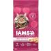 IAMS Proactive Health Healthy Adult Dry Cat Food with Chicken 3.18kg Bag & Proactive Health Dry Cat Food Adult - Urinary Tract Health - Chicken 3.18kg Bag 3.18 kg (Pack of 1) Dry Cat Food + Cat Food 3.18kg Bag - Buy Online on SooperMarket.com