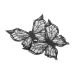 HAPINARY 2pcs Butterfly Eyeliner Stencil Wing Eyeliner Stamp Eyeliner Stencil