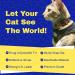 Travel Cat Harness and Leash Set - Adjustable Comfort Fit Mesh Vest Harnesses with Reflective Strap - Snug Fit Harness for Cats Kitten for Outdoor Walking Grey Large (Chest 16-19 inch) Grey L - Buy Online on SooperMarket.com