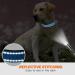 Taglory Soft Padded Neoprene Dog Collar for Medium Dogs - Adjustable Reflective Sky Blue - Perfect for Training - 1-Pack - Buy Online on SooperMarket.com