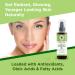 Organic Veda Moringa Oil 3.4 fl. oz - USDA Organic Cold-Pressed Edible Grade Virgin Oil for Face, Skin, Hair, Nails, Foot & Body - Buy Online on SooperMarket.com