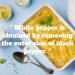 Natruen Whole White Peppercorn 18oz - Premium Grinder Refill | All Natural, Non-GMO, Vegan, Gluten Free | Kosher & Halal Compliant - Buy Online on SooperMarket.com