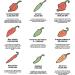 South Devon Chilli Farm Reaper Chilli Sauce | Carolina Reaper Heat Level 12/10 | 50ml Pocket Size Bottle - Buy Online on SooperMarket.com