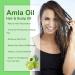 Amla Hair Oil Indian Amla Oil for Hair Amla Oil for Hair Growth Scalp Oil Nourishes Scalp Indian Hair Oil for Skin and Face Amla Essential Oil Hair Growth Oil for Women for Long Soft Strong Hair 60ml - Buy Online on SooperMarket.com