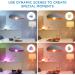 WiZ Smart WiFi Light Bulb 60W A19 Dimmable 2700K | Compatible with Alexa & Google Home | No Hub Required | Soft White (Dimmable Only) - 1 Pack - Buy Online on SooperMarket.com