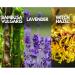 Buy Lavender Natural Moisture Toner - Moisturizing & Sebum Control for Sensitive Skin | 500ml/16.9 fl. oz - International Shipping Available - Buy Online on SooperMarket.com