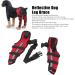 Knee Brace for Dogs ACL with Reflective Strips Knee Dislocation Arthritis Keeps The Joint Warm and Stable Extra Support Reduces Pain and Inflammation (L) - Buy Online on SooperMarket.com