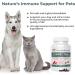 Turkey Tail Pet Support - Vet-Approved Dog Multivitamins for Immune & Gut Health (90ct) - Buy Online on SooperMarket.com