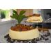 Dulce de Leche Sin Az car - 15 oz | Keto Friendly, Gluten & Lactose Free, Low Calorie Spread | No Added Sugar Caramel for Ice Cream, Desserts, Coffee - DairySky - Buy Online on SooperMarket.com