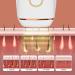 Intelligent Induction Laser Hair Removal for Women - Rejuvenate & Remove Hair Safely on Whole Body - Buy Online on SooperMarket.com