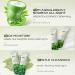 Buy Green Tea Skincare Set - 19-In-1 Gift with Natural Extracts | Cleanser Serum Creams & Masks for Teen Girls - Moisturizing & Nourishing Skin Care - Buy Online on SooperMarket.com