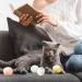 QIODAZOO 12PCS Cat Toy Balls 6 PCS Cat Bell Ball and 6 PCS Cat Soft Ball for Kitten Cat Interacitve Indoor Colorful Toy (Random Color) - Buy Online on SooperMarket.com