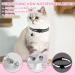 Adjustable Cat Dishes Set - Breathable Mesh & Soft Lining for Cats Kittens Dogs & Puppies (XS Black) - Ideal for International Shipping - Buy Online on SooperMarket.com