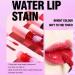 Waterproof High Pigmented Lip Stain - Long Lasting & Quick Dry | Non-Stick Cup & Hydrating Formula - 2-in-1 Lip & Cheek Tint HDN 04 - Buy Online on SooperMarket.com
