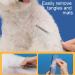 JdXun 1 Piece Pet Comb | Stainless Steel Dog & Cat Comb for Knots & Tangles | Best Pet Care Tool (19x3.3cm) - Buy Online on SooperMarket.com