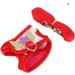 Fdit Small Animals Harness and Leash Set Soft Harness with Lead for Rabbits Bunny Rabbits Adjustable Harness (S) - Buy Online on SooperMarket.com