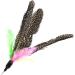 onebarleycorn Cat Toys Feather Refills for Cat Wand Toys Interactive include Replacement Feathers 1 Count (Pack of 1) - Buy Online on SooperMarket.com