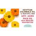Buy Pure Egyptian Calendula Oil | Natural Moisturizer for Face Skin Hair & Nails | Botanical Beauty 1 Fl Oz (30 ml - Buy Online on SooperMarket.com