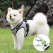 Cat Harness and Lead Set Adjustable Cat Harness Escape Proof Cat Kitten Harness for Walking Breathable Cat Harness with Reflective Stripe and Leash Set for Small Medium Cats Pets (S) - Buy Online on SooperMarket.com