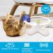 All For Paws Interactive Cat Toy - Butterfly with 2 Replacement Wings | Engaging Indoor Play for Cats - Buy Online on SooperMarket.com