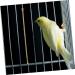PRETYZOOM Bird Cage Cleaning Tool Bird Poop Cleaning Tools Jewelry Cleaning Kit Birds Brass Hamster 33X3X0.5CM As Shown - Buy Online on SooperMarket.com