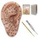 Shitoomfe ear seed acupuncture -KIT soft ear seed kit with 7.5 inches .. ear model ear stains tweezers probe pen ear book picture acupuncture -ear -acupuncture -KIT style 1