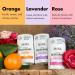 MONA BRANDS All Natural Deodorant For Women & Men | For Sensitive Skin | No Aluminum or Baking Soda | (3-Pack VARIETY-1 1.76 Oz each) - Buy Online on SooperMarket.com