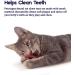 Petstages Catnip Pretzel Dental Chew Toy | Plaque Away Cat Toy - Buy Online on SooperMarket.com
