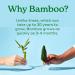 Caboo Bamboo Flushable Wipes 60 Ct Travel Packs (Pack of 3) | Eco-Friendly & Biodegradable | Septic Safe & Certified Flushable | for Adults & Kids - Buy Online on SooperMarket.com