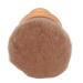 Makeup Brush Compact Electroplated Handle Mushroom Head Skin-Friendly Home Foundation Brush for Dressing Table