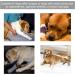 Pet Knee Brace Flexible Dog Leg Support Brace Impervious Shock Proof Dog for Pet(red S) - Buy Online on SooperMarket.com