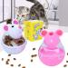 Auxsooul Cat Interactive Toys - 2-Pack Snackball & Food Dispenser for Cats - Intelligence & Treat Play - Buy Online on SooperMarket.com
