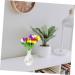 Ciieeo Desktop Decor Office Plants Hydroponics Holder Vase Table Container Decorative Desk Home Delicate White 7X13CM - Buy Online on SooperMarket.com