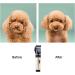 Professional Cordless Dog & Cat Hair Clippers with Detachable Blades and Guards - Rechargeable & Quiet - Ideal for Small Animals - Gold - Buy Online on SooperMarket.com