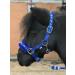Equipride Horse Print Fur Padded Nylon Headcollars with Lead Rope Royal Blue (Mini Shetland) Royal Blue Mini Shetland