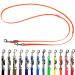 Biothane dog linen small dogs / large dogs adjustable 2m / 2.40m / 2.80m / 3.50m / 5m silver hook 9mm / 13m m / 16mm (5m x 13mm orange) 5m x 13mm orange