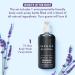 Terra Pure Infuse Lavender Mint Body Wash | Spa Collection Hotel Amenities | 10.14 oz Pump Bottle - Luxurious Single Bottle - Buy Online on SooperMarket.com